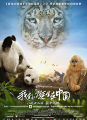 大唐荣耀更新内容回顾：新版本的新挑战